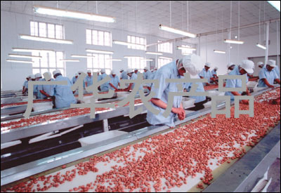 山東廣華農產品 推動農產品加工升級，助力鄉村振興