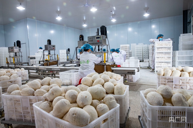 福建光澤 以倉(cāng)儲(chǔ)冷鏈建設(shè)為引擎，驅(qū)動(dòng)鄉(xiāng)村產(chǎn)業(yè)振興與農(nóng)產(chǎn)品加工升級(jí)