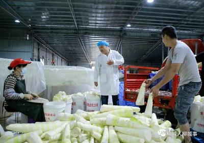 東泉之名探源及其農(nóng)產(chǎn)品加工產(chǎn)業(yè)發(fā)展