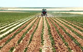 中國種養(yǎng)業(yè)加速向農(nóng)產(chǎn)品加工業(yè)延伸，破解加工深度不足難題