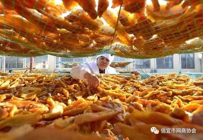 推進(jìn)農(nóng)產(chǎn)品加工轉(zhuǎn)型升級(jí)，打造鄉(xiāng)村產(chǎn)業(yè)振興新引擎