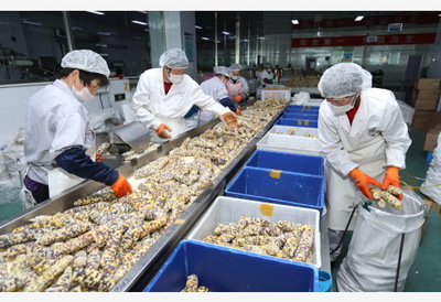 打造“第一車間” 農(nóng)業(yè)農(nóng)村部力推農(nóng)產(chǎn)品精深加工，百強(qiáng)企業(yè)引領(lǐng)產(chǎn)業(yè)升級(jí)